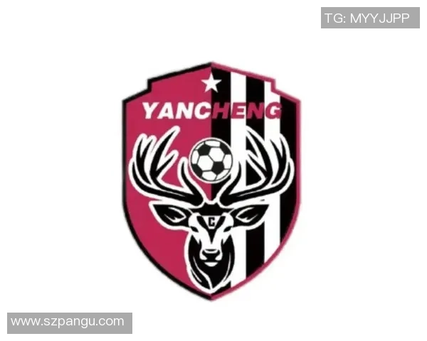 足球明星队徽全景展示与背后故事解析