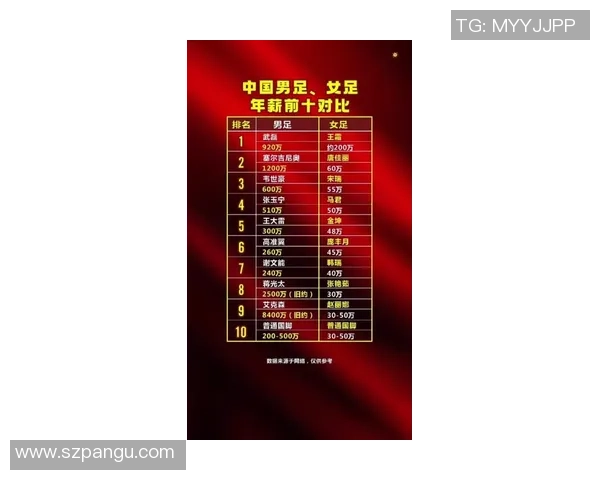 中国足球明星收入排行榜揭晓谁是收入最高的球员及其背后的故事