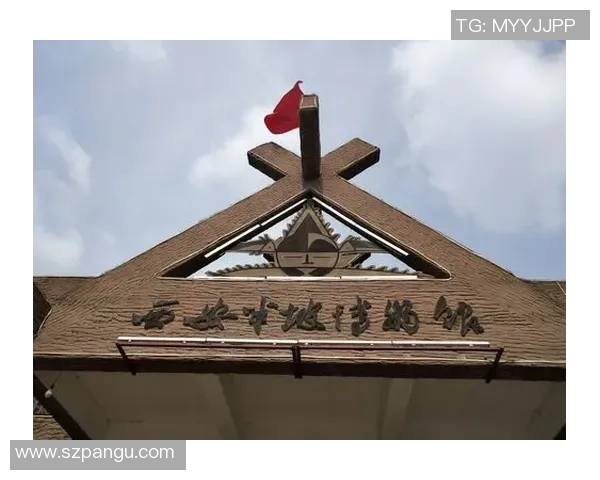 深圳排球队在联合会杯中的蜕变与新篇章探索之旅