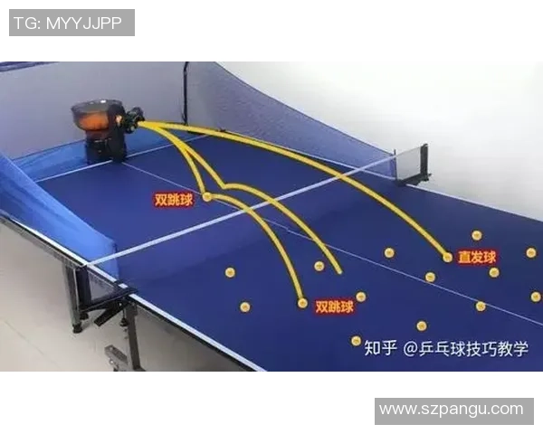 乒乓球技艺探秘：西安乒乓球队防守策略与技巧解析