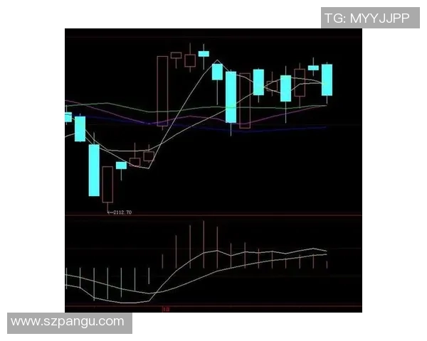 成都乒乓球队防守策略分析与比赛表现的得失总结